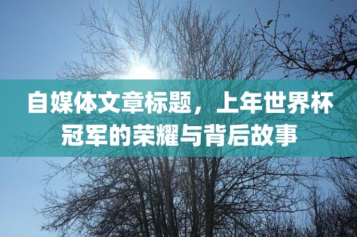 自媒体文章标题，上年世界杯冠军的荣耀与背后故事