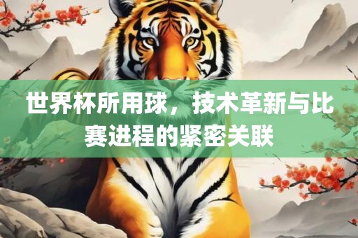 世界杯所用球，技术革新与比赛进程的紧密关联