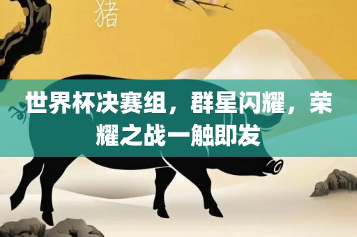世界杯决赛组，群星闪耀，荣耀之战一触即发