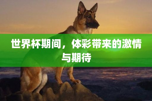 世界杯期间，体彩带来的激情与期待