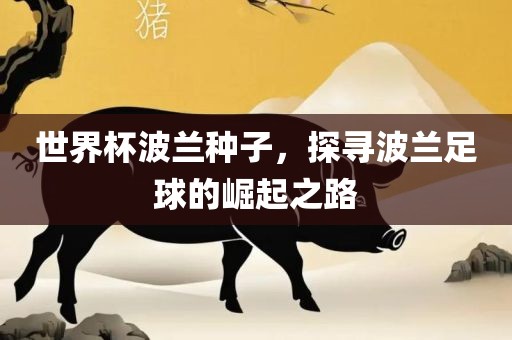 世界杯波兰种子，探寻波兰足球的崛起之路