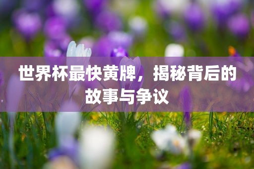 世界杯最快黄牌，揭秘背后的故事与争议