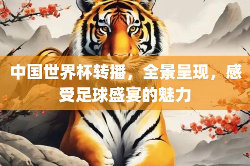 中国世界杯转播，全景呈现，感受足球盛宴的魅力
