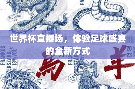 世界杯直播场，体验足球盛宴的全新方式