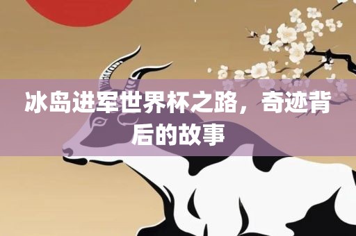 冰岛进军世界杯之路，奇迹背后的故事