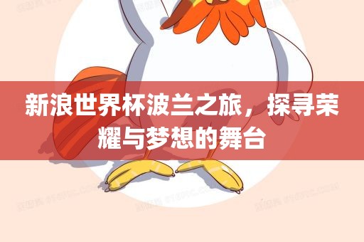 新浪世界杯波兰之旅，探寻荣耀与梦想的舞台