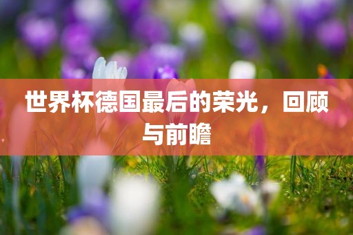 世界杯德国最后的荣光，回顾与前瞻