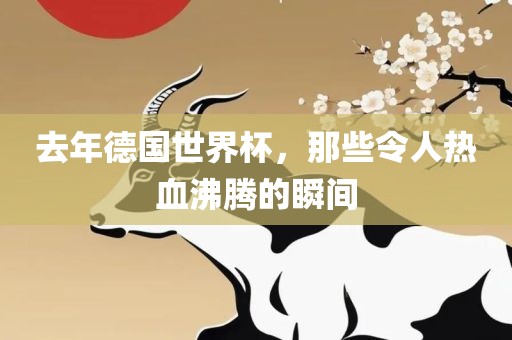 去年德国世界杯，那些令人热血沸腾的瞬间
