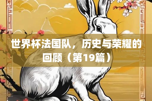 世界杯法国队，历史与荣耀的回顾（第19篇）