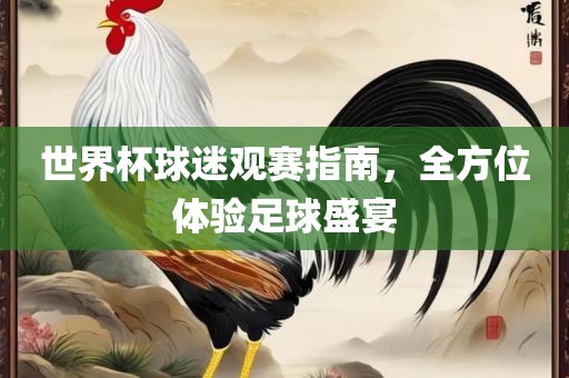 世界杯球迷观赛指南，全方位体验足球盛宴