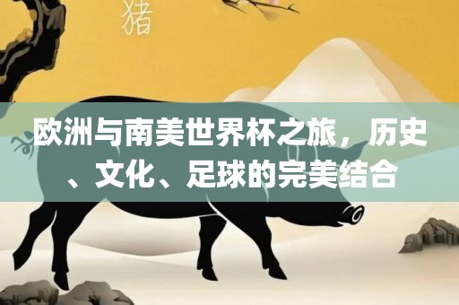 欧洲与南美世界杯之旅，历史、文化、足球的完美结合