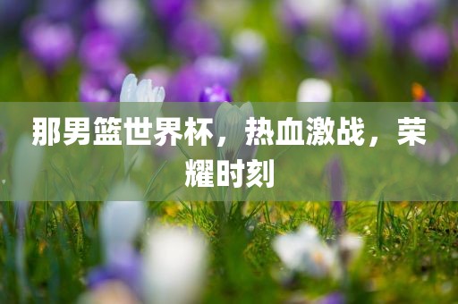 那男篮世界杯，热血激战，荣耀时刻