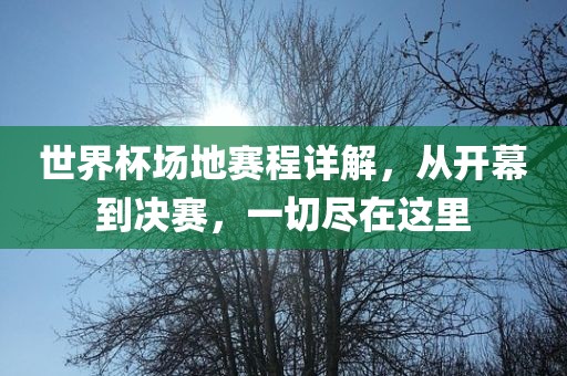 世界杯场地赛程详解，从开幕到决赛，一切尽在这里