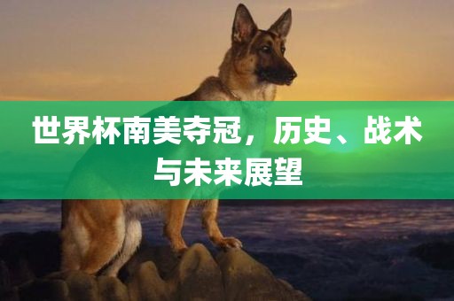 世界杯南美夺冠，历史、战术与未来展望