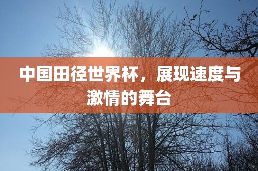 中国田径世界杯，展现速度与激情的舞台