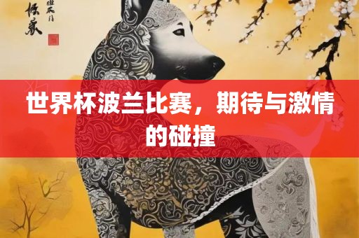 世界杯波兰比赛，期待与激情的碰撞