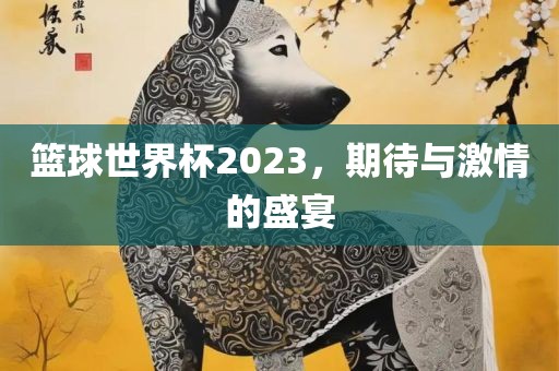 篮球世界杯2023，期待与激情的盛宴