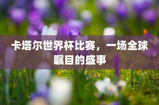 卡塔尔世界杯比赛，一场全球瞩目的盛事