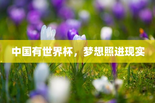 中国有世界杯，梦想照进现实