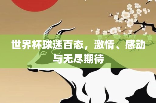 世界杯球迷百态，激情、感动与无尽期待