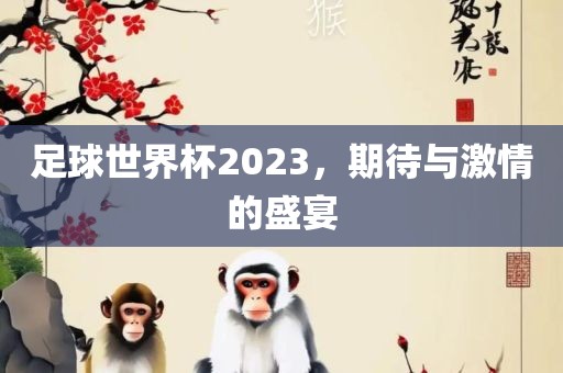 足球世界杯2023，期待与激情的盛宴