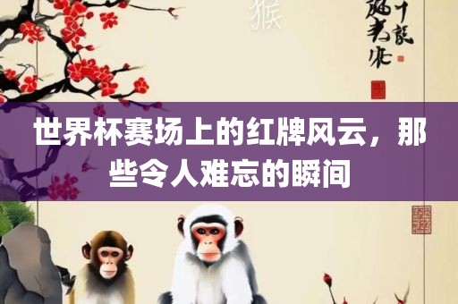 世界杯赛场上的红牌风云，那些令人难忘的瞬间