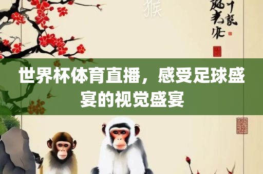 世界杯体育直播，感受足球盛宴的视觉盛宴