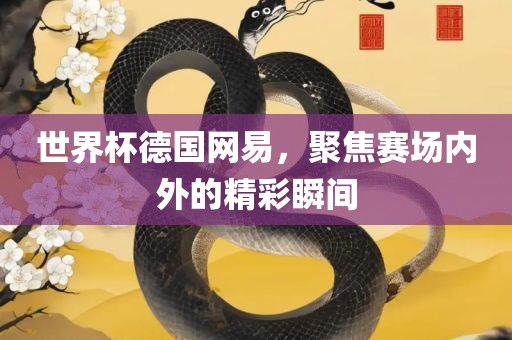 世界杯德国网易，聚焦赛场内外的精彩瞬间