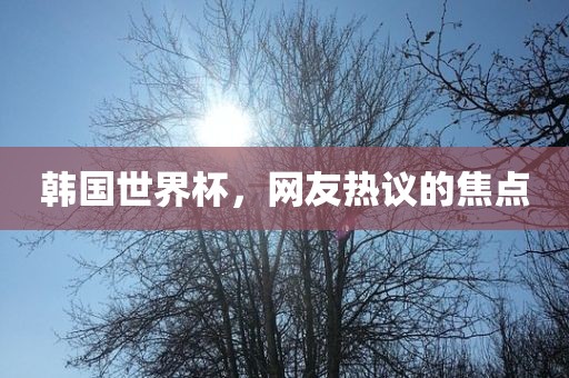 韩国世界杯，网友热议的焦点