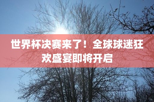 世界杯决赛来了！全球球迷狂欢盛宴即将开启