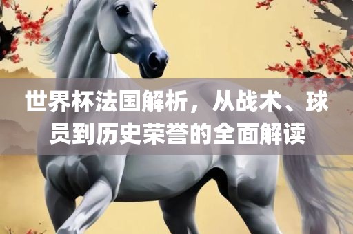 世界杯法国解析，从战术、球员到历史荣誉的全面解读
