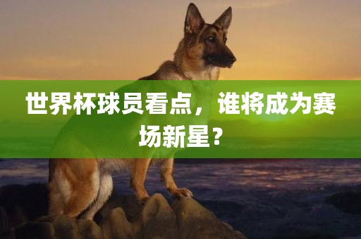 世界杯球员看点，谁将成为赛场新星？