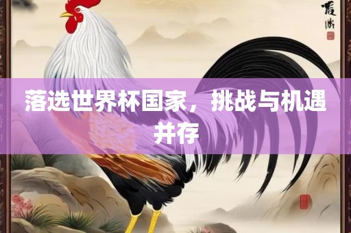 落选世界杯国家，挑战与机遇并存