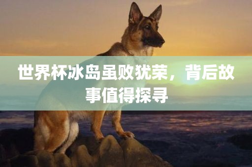 世界杯冰岛虽败犹荣，背后故事值得探寻