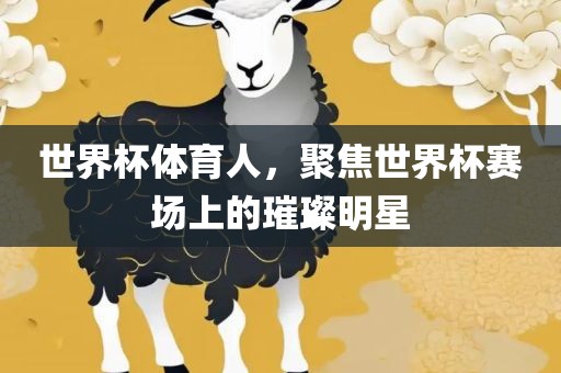 世界杯体育人，聚焦世界杯赛场上的璀璨明星