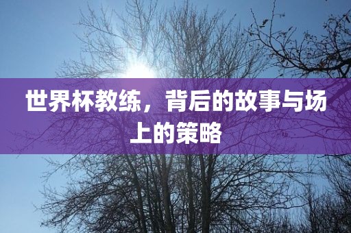 世界杯教练，背后的故事与场上的策略