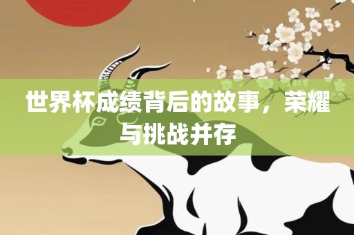 世界杯成绩背后的故事，荣耀与挑战并存