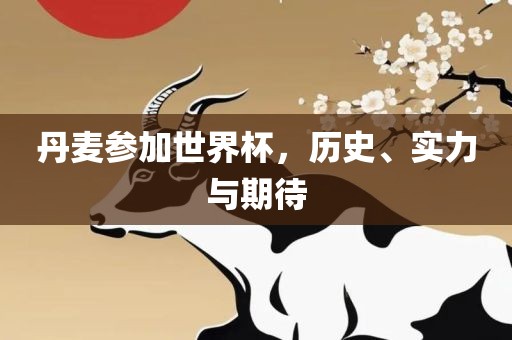 丹麦参加世界杯，历史、实力与期待