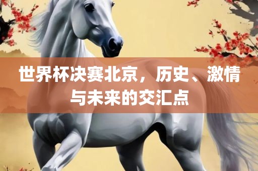 世界杯决赛北京，历史、激情与未来的交汇点
