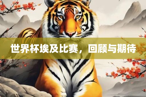 世界杯埃及比赛，回顾与期待
