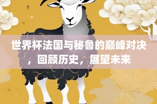 世界杯法国与秘鲁的巅峰对决，回顾历史，展望未来