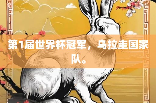 第1届世界杯冠军，乌拉圭国家队。