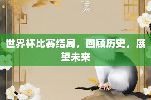 世界杯比赛结局，回顾历史，展望未来