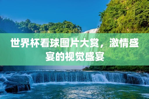 世界杯看球图片大赏，激情盛宴的视觉盛宴