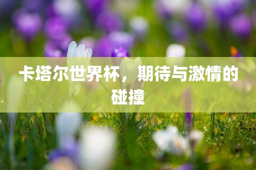 卡塔尔世界杯，期待与激情的碰撞