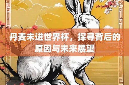 丹麦未进世界杯，探寻背后的原因与未来展望