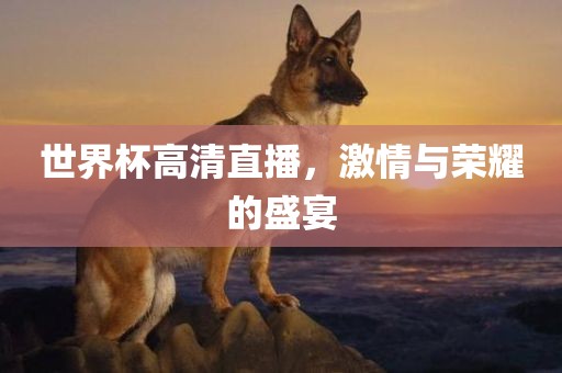 世界杯高清直播，激情与荣耀的盛宴