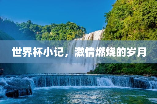 世界杯小记，激情燃烧的岁月