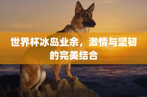 世界杯冰岛业余，激情与坚韧的完美结合