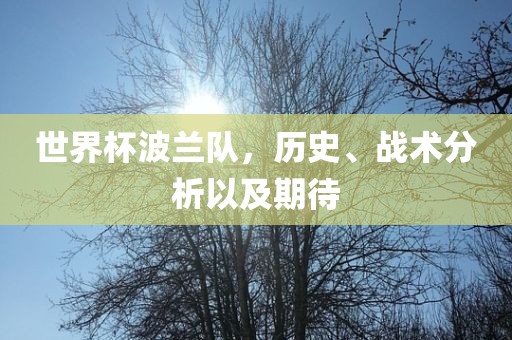 世界杯波兰队，历史、战术分析以及期待